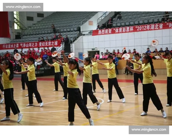 柔力球比赛总结与反思：提升竞技水平与团队协作的关键要素探讨