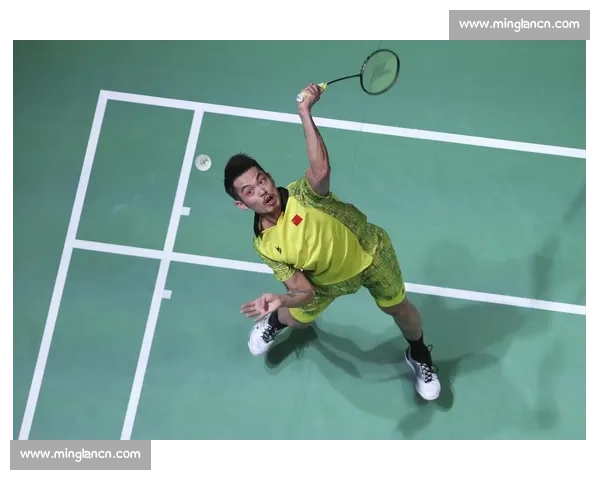 林丹经典羽毛球比赛回顾：全场精彩对决与技术亮点分析