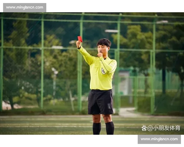 全面解析各类体育比赛规则及裁判判罚细则与应用